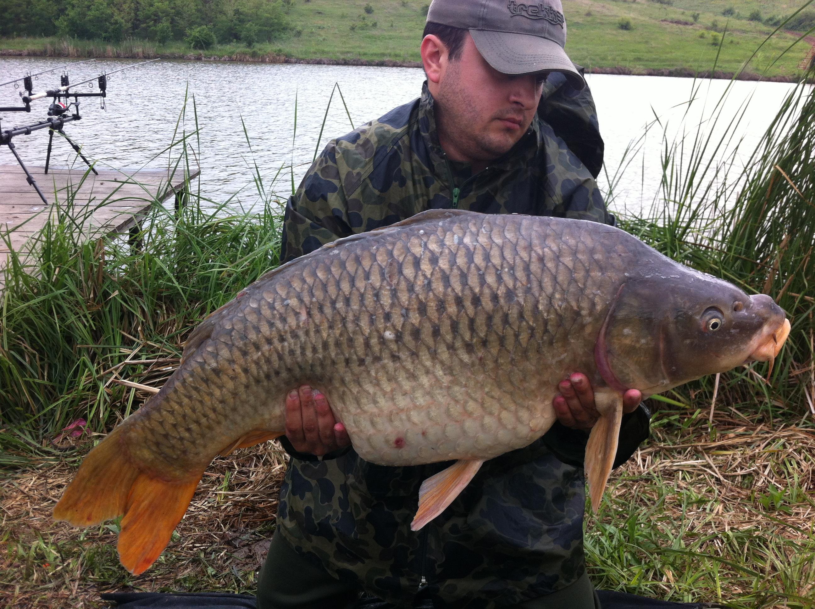 Magura 9 - IMG_0135.JPG